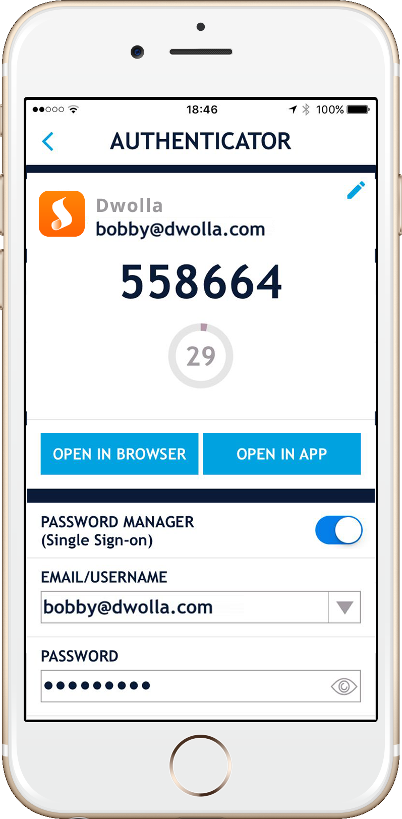 Password Manager - 